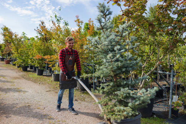 Best Seasonal Cleanup  in Exeter, CA